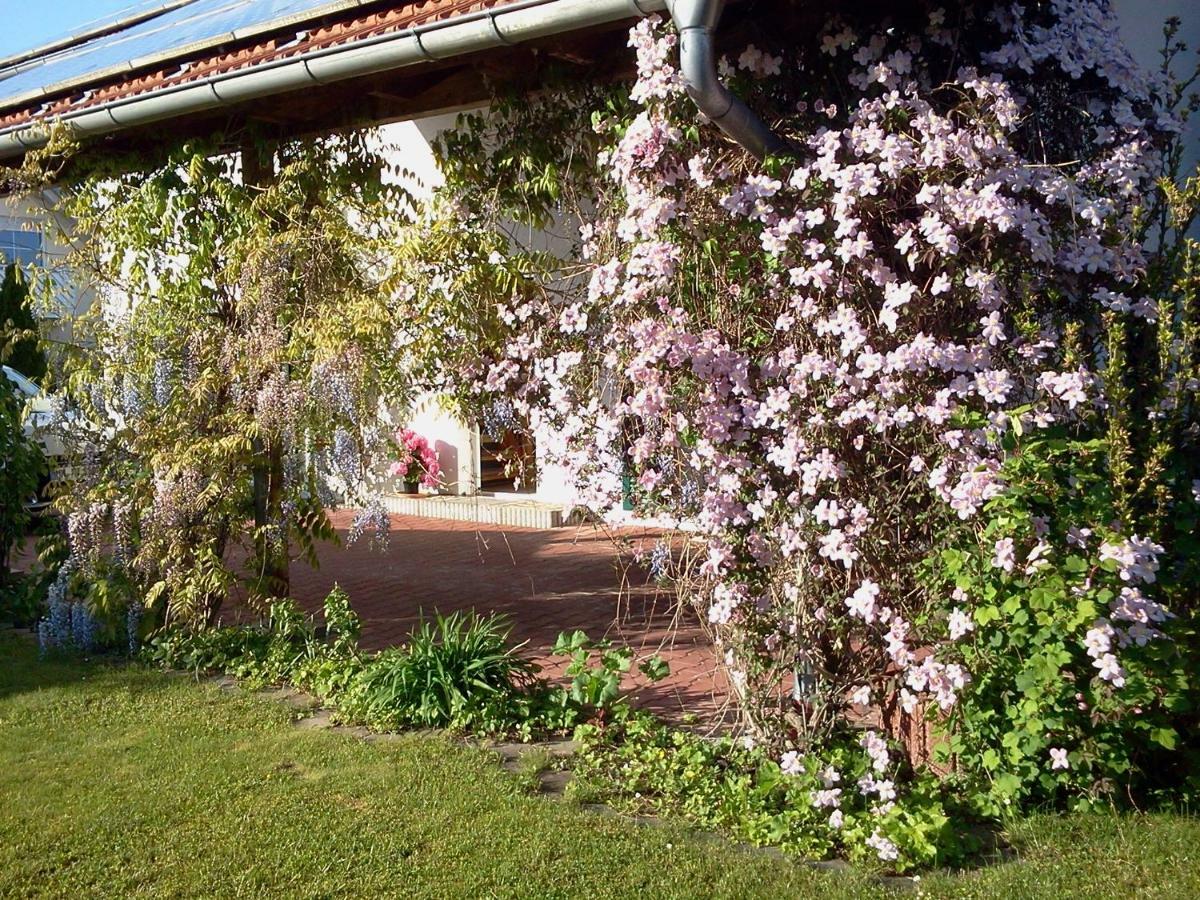 Ferienwohnung Buxheim (Swabia) Exterior foto
